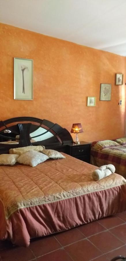Portal De Los Farolitos Concepción de Ataco Екстериор снимка