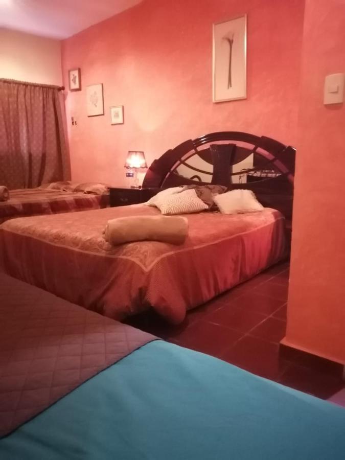 Portal De Los Farolitos Concepción de Ataco Екстериор снимка