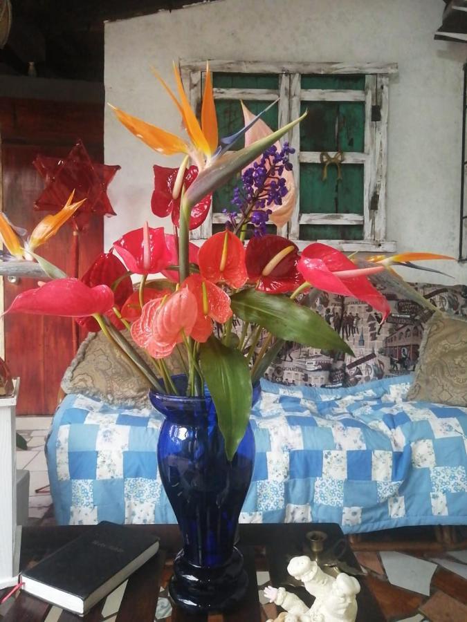 Portal De Los Farolitos Concepción de Ataco Екстериор снимка